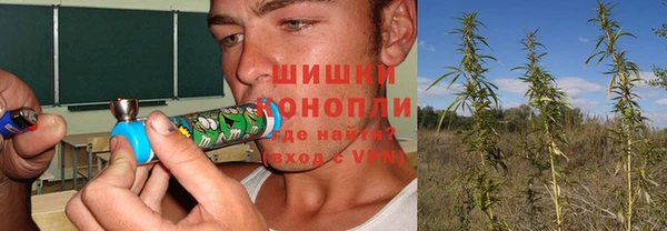 гидра Баксан