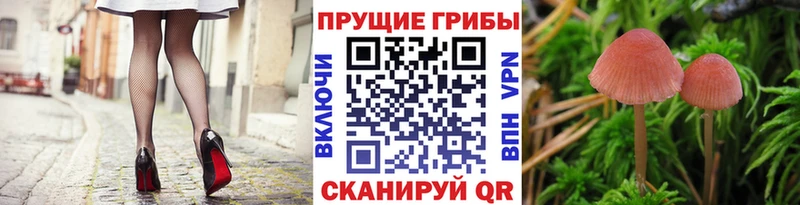 Псилоцибиновые грибы GOLDEN TEACHER Озёры